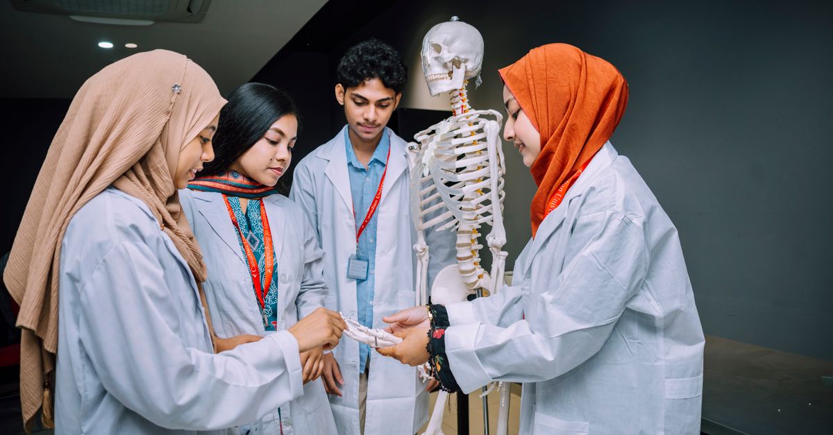 Regretting Your First Degree? How Adult Learners Decide Between a Second Bachelor's and a Master's to Change Careers