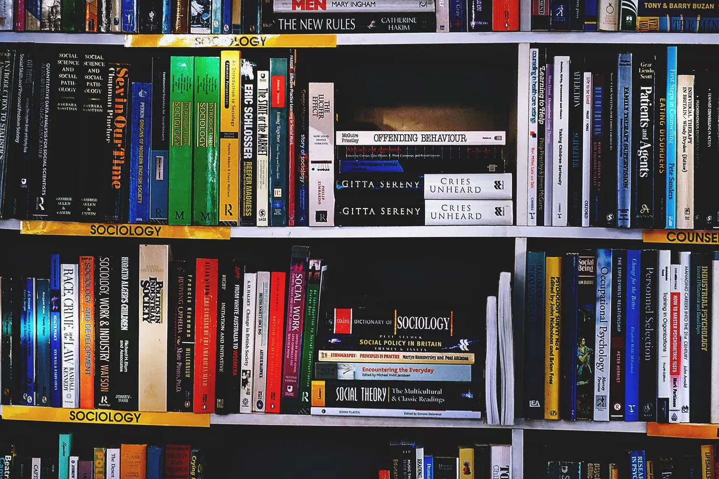 Sociology, social theory and research-methods books line labeled shelves.