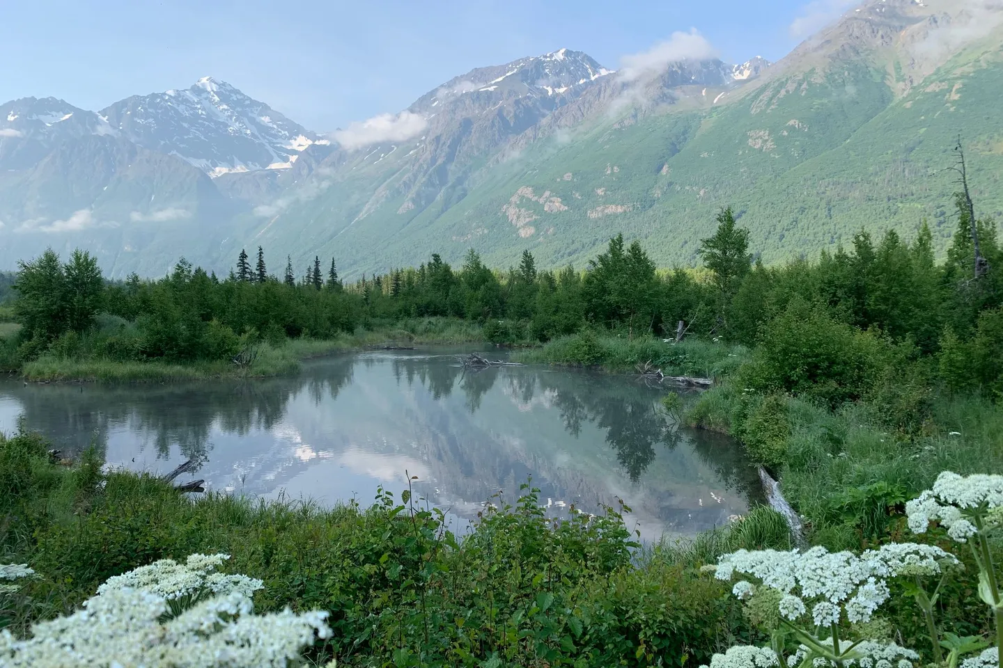 A still pond reflects green forest and snow-capped mountains near Anchorage, Alaska.