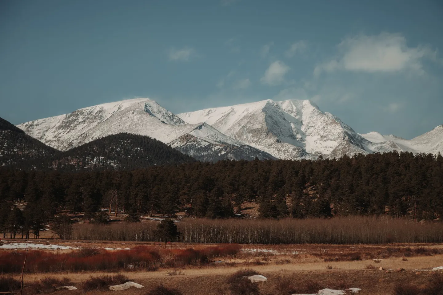 Snow-capped Rocky Mountain peaks rise above a pine forest and meadow in Colorado.