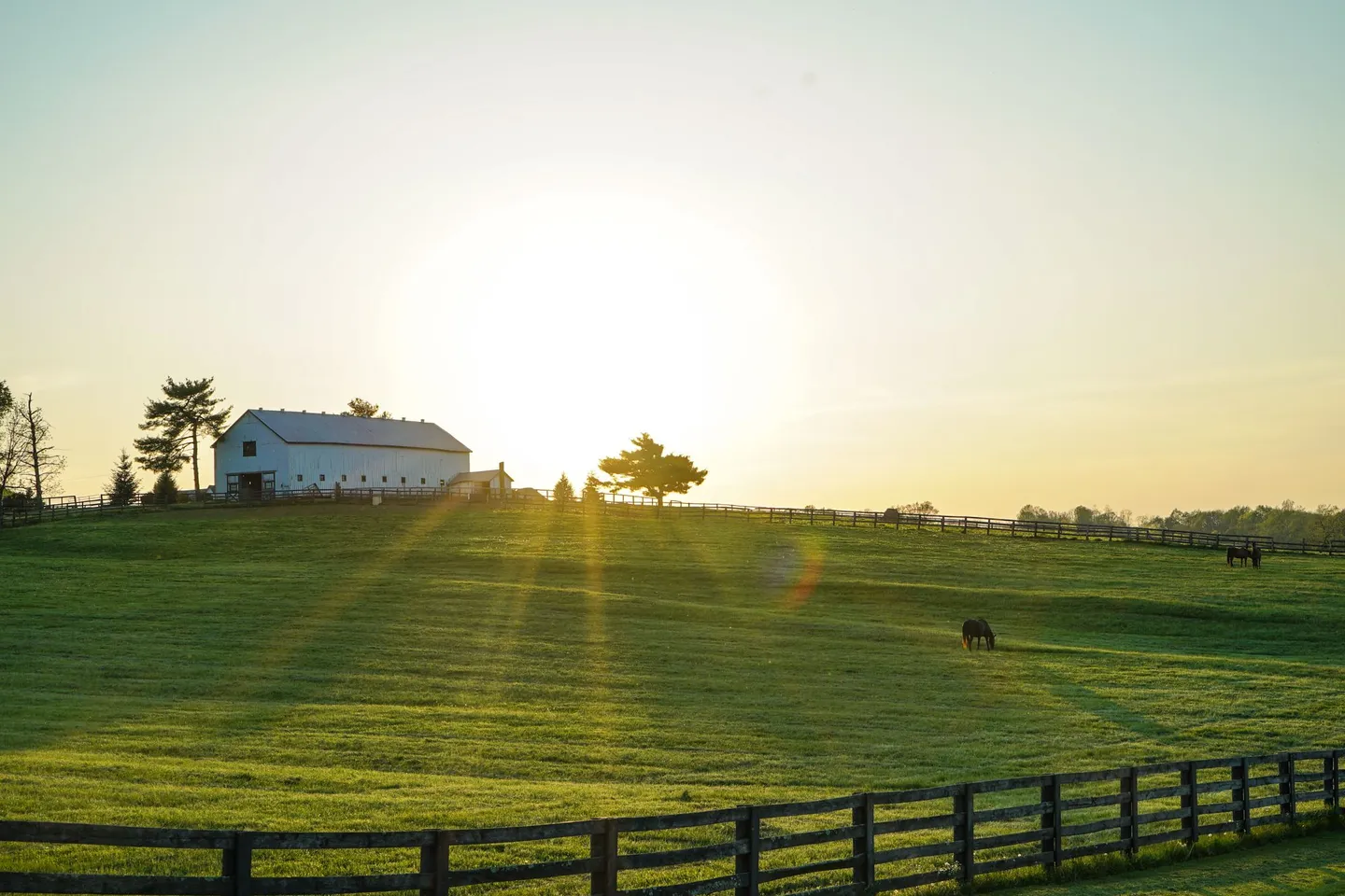 Sunrise over a white barn and grazing horses in a green pasture on a Kentucky horse farm.