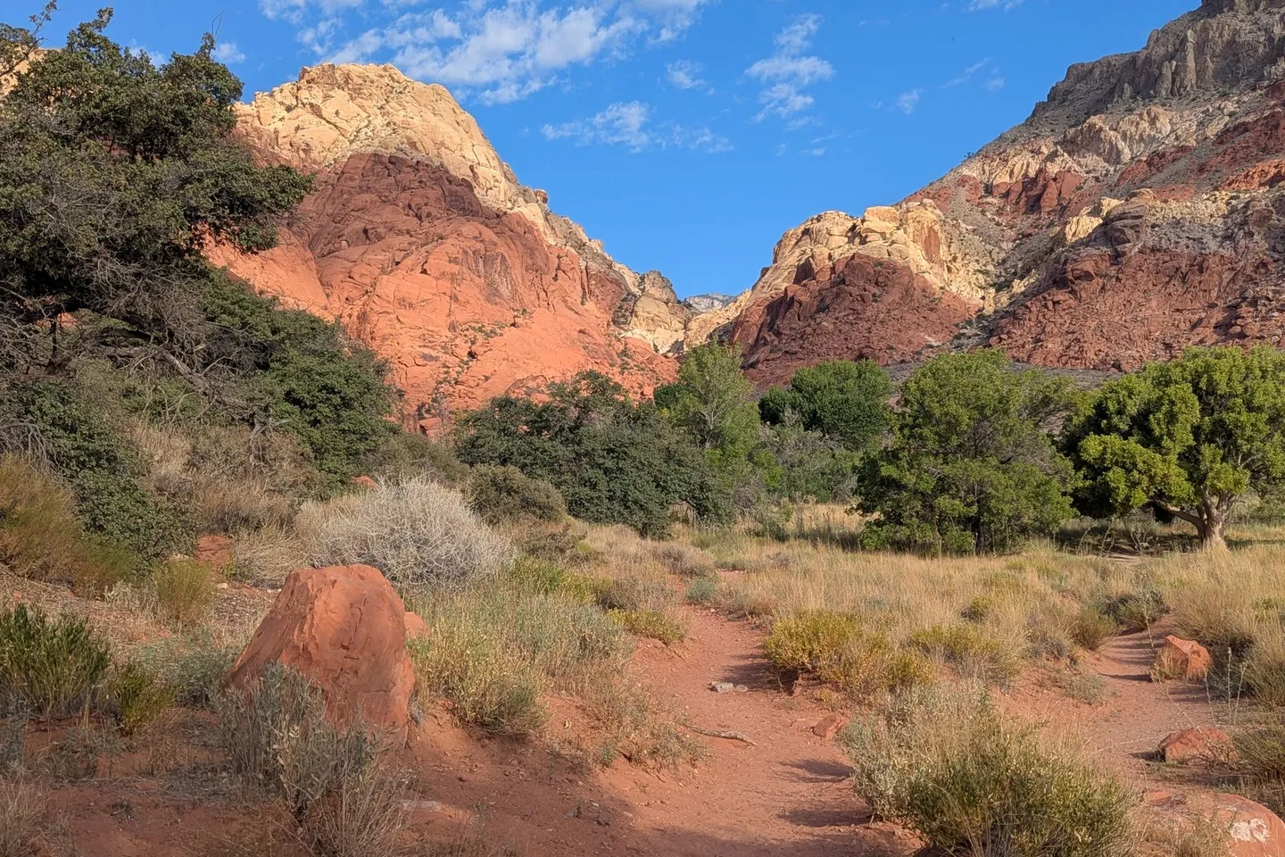 A desert trail winds between red sandstone cliffs at Red Rock Canyon in Nevada.