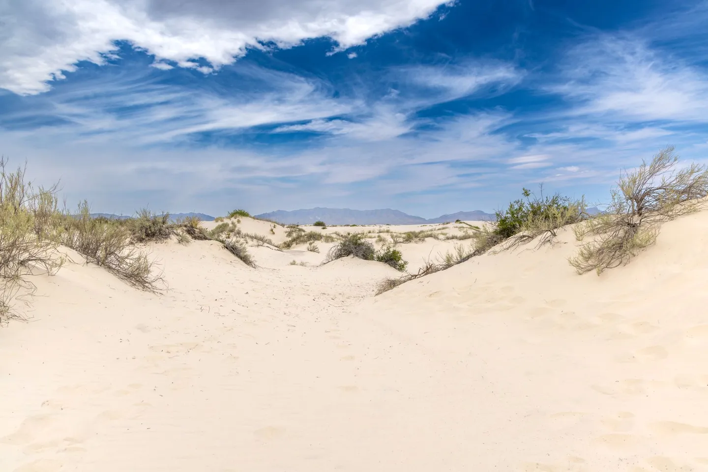 White gypsum sand dunes with grasses under a blue sky at White Sands National Park, New Mexico.