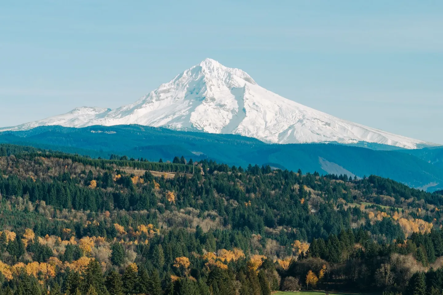 Snow-capped Mount Hood rises above forested hills with autumn color in Oregon.
