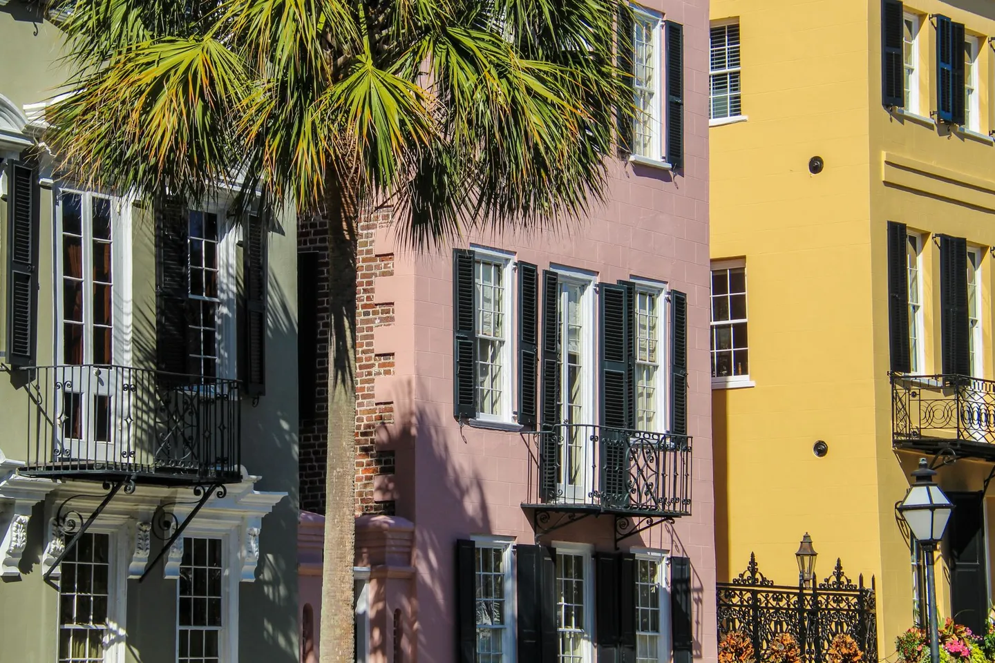 Pastel historic row houses and a palm tree on a street in Charleston, South Carolina.