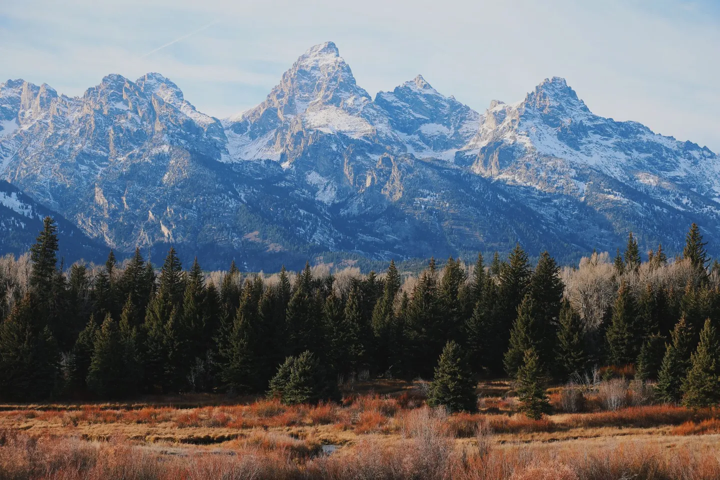 The snow-capped Grand Teton range rises above evergreen forest and meadow in Wyoming.